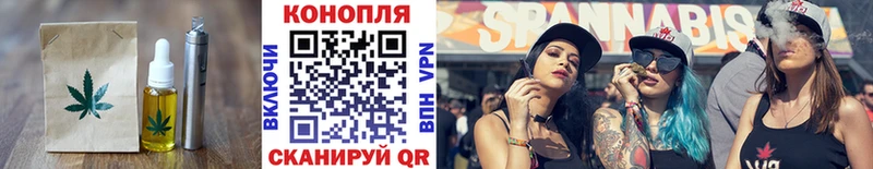 mega ТОР  продажа наркотиков  Елизово  Cannafood марихуана 