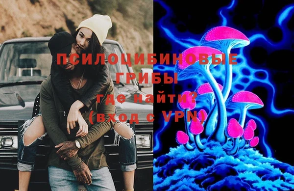 амф Гусь-Хрустальный