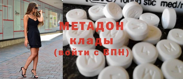 прущие грибы Гусев
