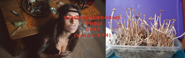 амф Гусь-Хрустальный
