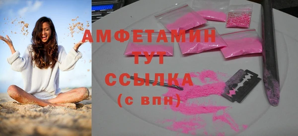 прущие грибы Гусев