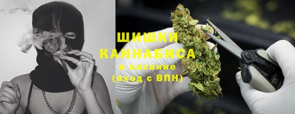 прущие грибы Гусев