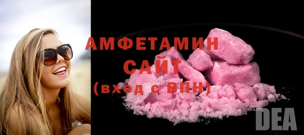 амф Гусь-Хрустальный
