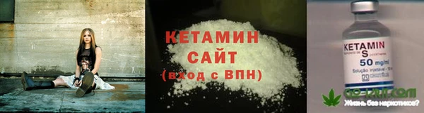 прущие грибы Гусев