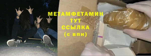 прущие грибы Гусев