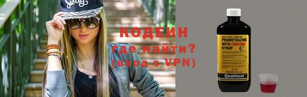 прущие грибы Гусев