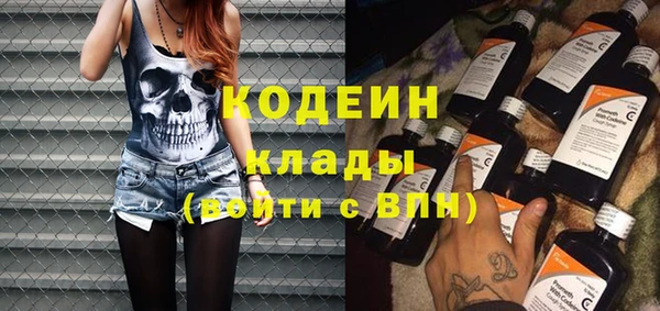 прущие грибы Гусев