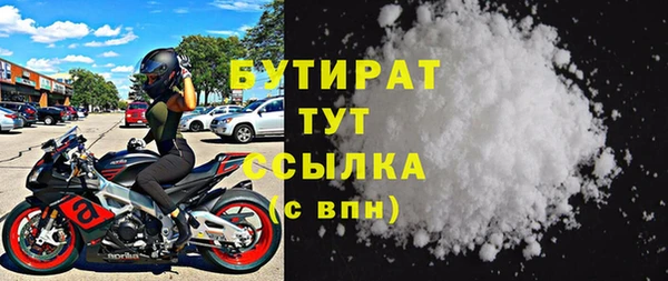 прущие грибы Гусев