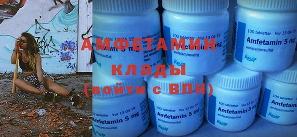 амф Гусь-Хрустальный