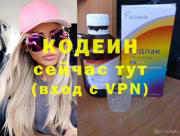 амф Гусь-Хрустальный