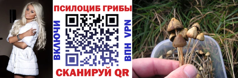 Псилоцибиновые грибы мицелий  Елизово 
