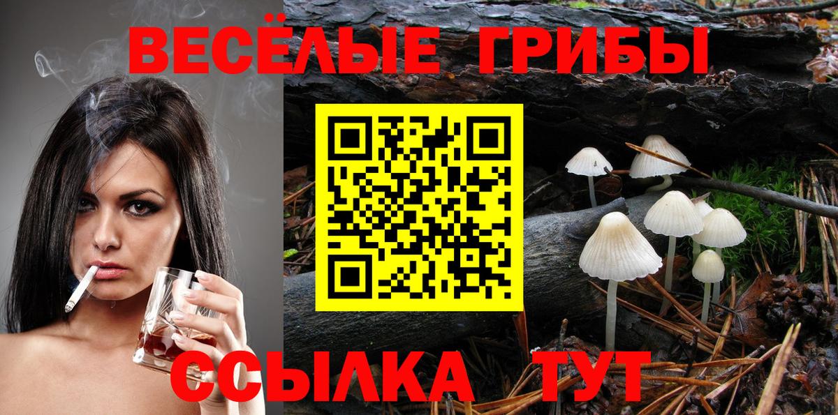 Псилоцибиновые грибы MAGIC MUSHROOMS Елизово